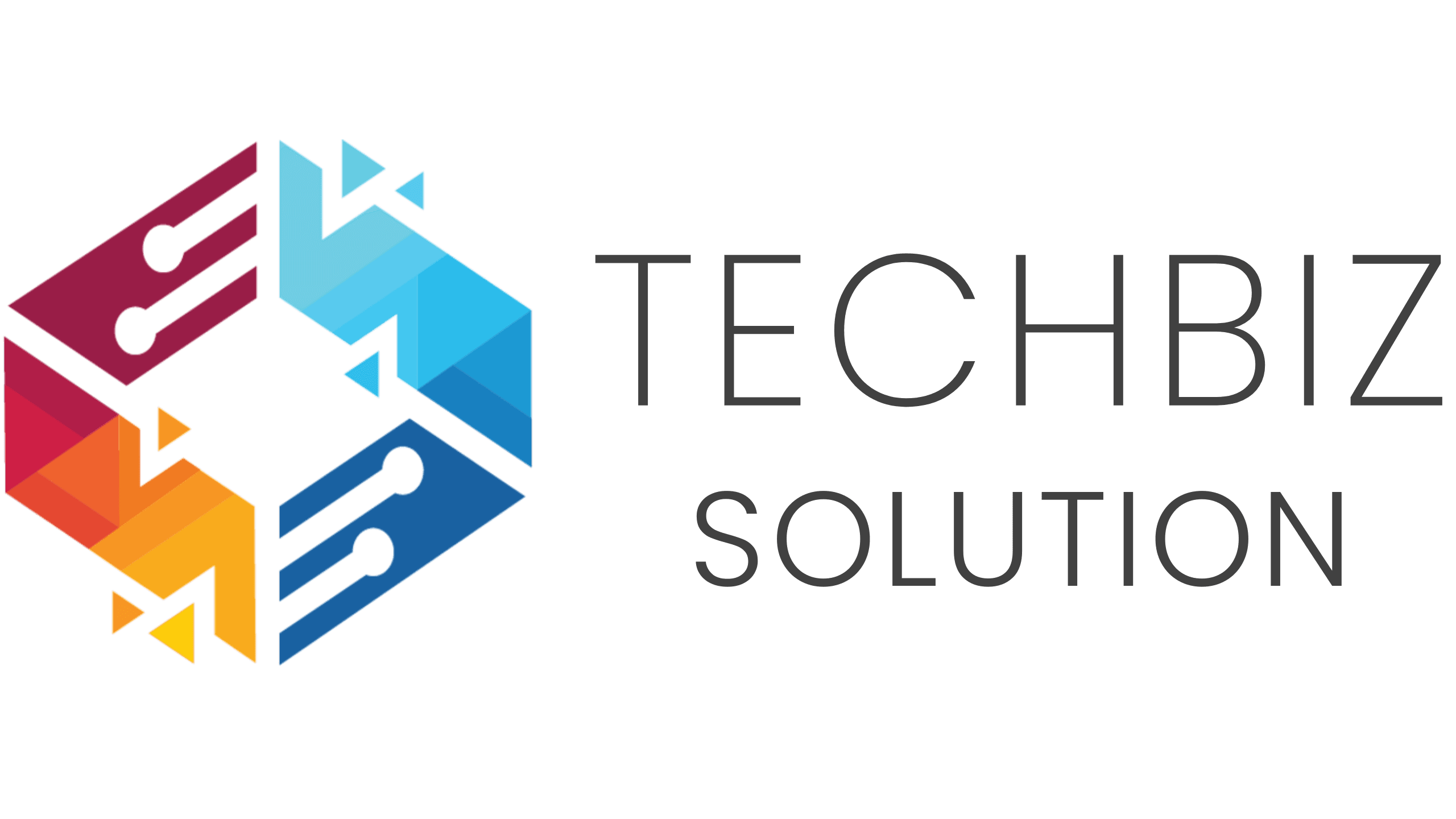 TechBiz Solution Logo