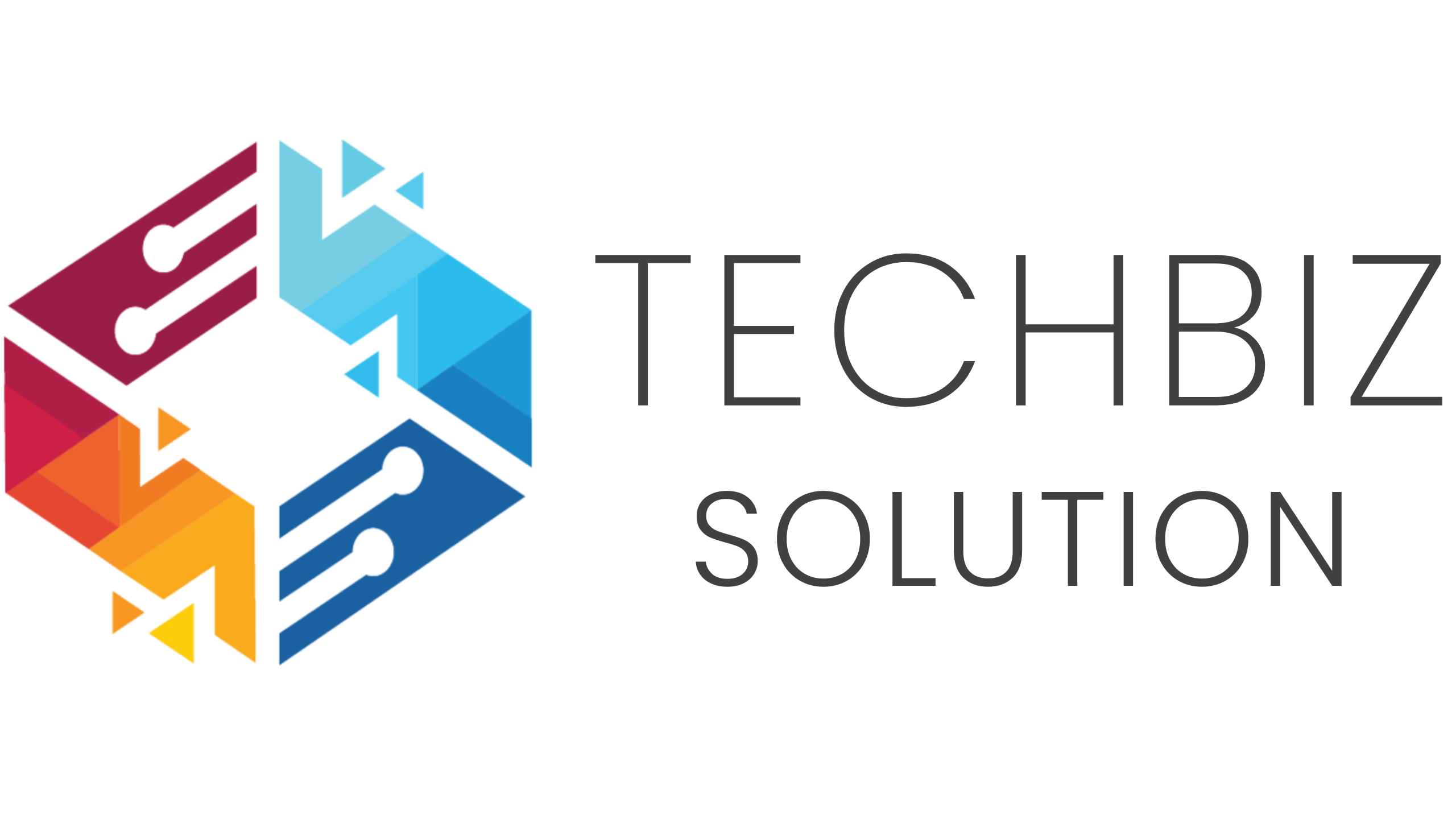 TechBiz Solution Logo